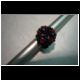 rblume6.jpg