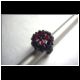 rblume7.jpg